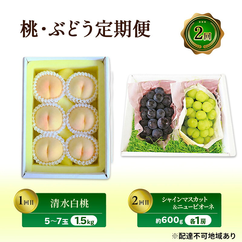 【ふるさと納税】フルーツ 2027年 先行予約 桃 ぶどう 定期便 2回 清水白桃 シャインマスカット ニューピオーネ 白桃 もも モモ 葡萄 ブドウ 果物　お届け：2027年7月中旬～2027年9月中旬