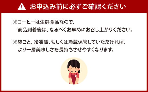 【あつみ珈琲】 スペシャルティコーヒー 水出しコーヒー 5個パック×2セット 計10個 コーヒー 珈琲
