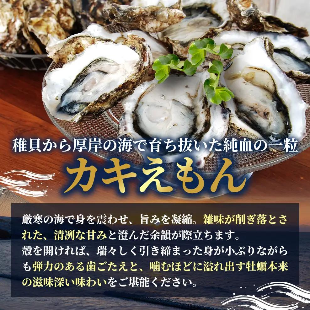北海道 厚岸産 殻付牡蠣の食べ比べセット！（生食用）カキ 牡蠣
