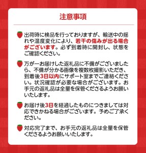 【2027年2月より順次発送】丸徳農園の福岡県産あまおう_ あまおう いちご 果物 フルーツ 〔Fi038〕