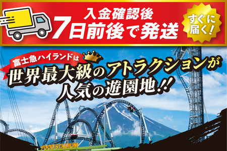 富士吉田市ふるさと納税限定　富士急ハイランドフリーパス　ファミリーチケット3名（大人2名・小人1名）