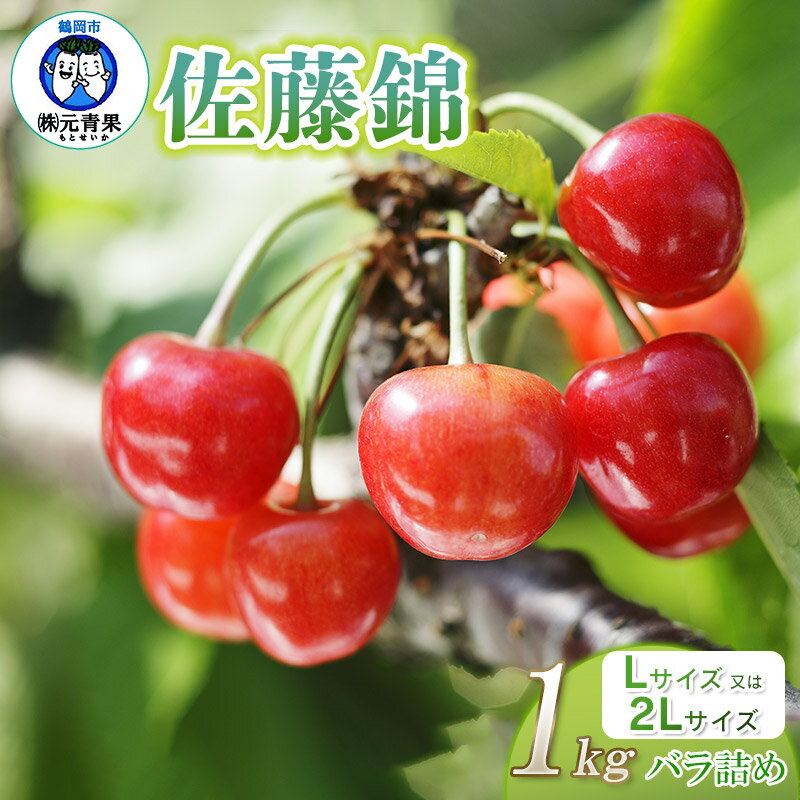 【ふるさと納税】【令和8年産先行予約】さくらんぼ 佐藤錦 1kg　Lサイズ 又は 2Lサイズ バラ詰め　元青果