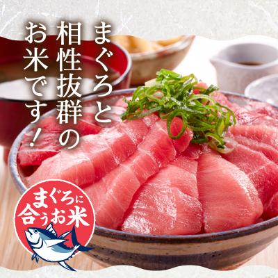ふるさと納税 焼津市 令和7年産　マグロによく合うお米 コシヒカリ 玄米 5kg(a12-294) |  | 02