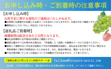 【2025年発送】【２回定期便】頬張る幸福感 ～緑の宝石・シャインマスカット～ 計２kg（1.0kg以上・2～3房を２回[9月上旬・下旬]お届け）　シャイン シャインマスカット ぶどう 葡萄 ブドウ 