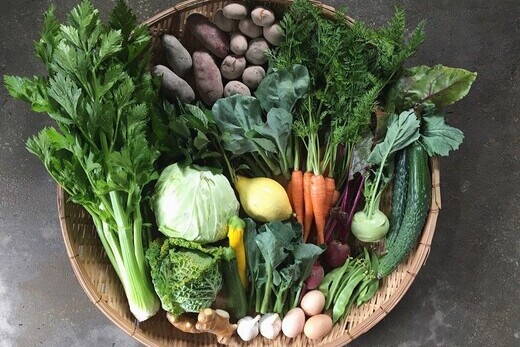 【定期便全4回】高知の旬をお届け「中里自然農園・旬のお野菜便」 定期便 野菜 セット 野菜の詰め合わせ 8?10種類 高知 新鮮 農薬不使用 化学肥料不使用 安心 旬 野菜 フレッシュ
