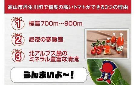 マルオリ トマトジュース 180ml×30本入 食塩無添加 | 無塩 無添加 完熟トマト ストレート ストレートジュース 100%果汁 飲み切り 小瓶 飛騨高山 マルオリ LS001VC13
