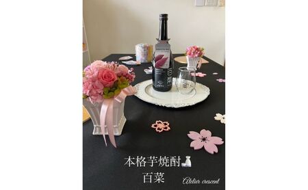 本格芋焼酎 百菜 720ml 1本 [ さつまいも サツマイモ 芋焼酎 焼酎 お酒 酒 ] 