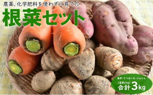 農薬、化学肥料を使わずに育てた根菜セット【里芋・さつまいも・にんじん】各約1kg、合計3kg ※着日指定不可 ※2023年12月上旬頃より順次発送予定