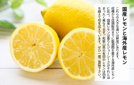 レモン 小玉 国産 箱込2.5kg(内容量約2.3kg) 秀品 S M L サイズミックス 和歌山県有田産 【みかんの会】