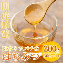 【ふるさと納税】＜数量限定＞国産！日本ミツバチの蜂蜜(300g×1本・計300g)国産はちみつ！ハチミツを合計お届け！贈答品やギフト・贈り物に！【セゾン企画】