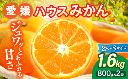 【7月下旬より順次発送】口いっぱいに広がる甘さ！大洲産ハウスみかん（2SからSサイズ）800g×2袋 愛媛県大洲市/沢井青果有限会社 [AGBN020]果物みかん果物みかん果物みかん