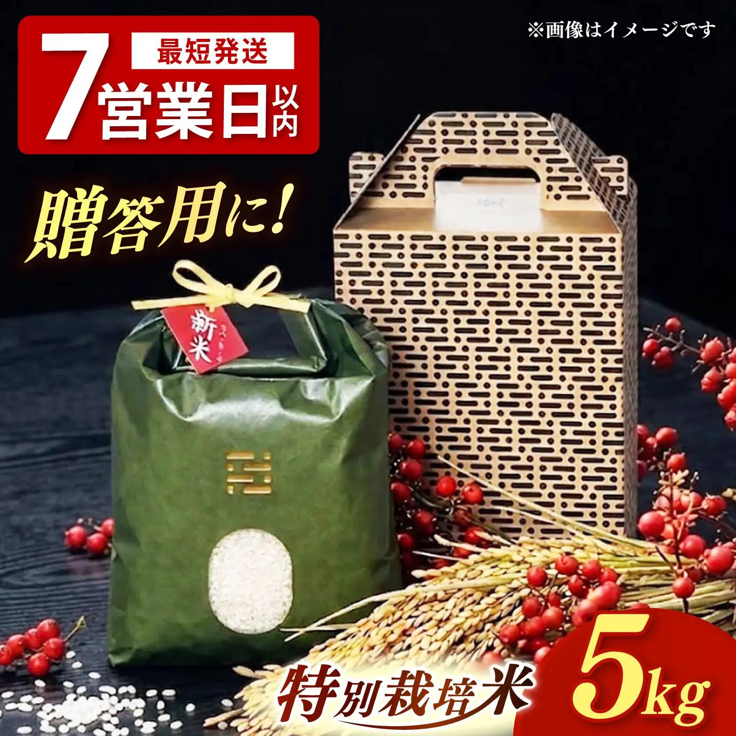 とくべつ の中の とくべつ  特別栽培米  夢つくし  5kg 【築上町】 / itoshimacco / 株式会社やました[ABEX005]