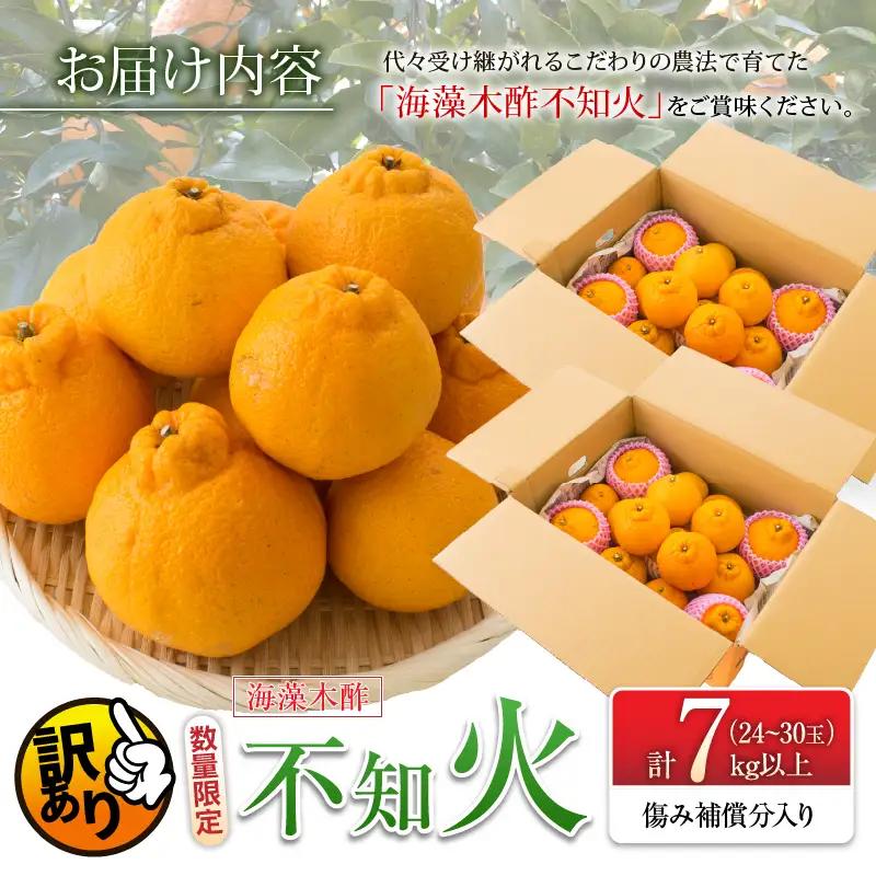 先行予約 訳あり 海藻木酢 不知火 計7kg以上 傷み補償分入り_BD129-26