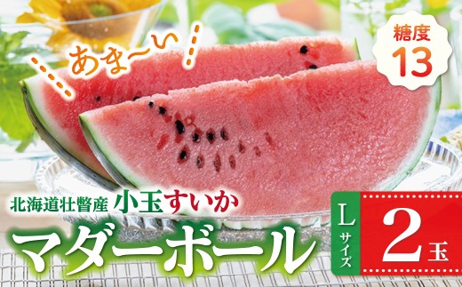 ＜2026年8月上旬よりお届け＞北海道壮瞥産　新山すいか 小玉すいか（マダーボール）Lサイズ2玉 スイカ　　【 ふるさと納税 人気 おすすめ ランキング スイカ すいか 西瓜 マダーボール 甘い 小玉 北海道 壮瞥町 送料無料 】 SBTN002