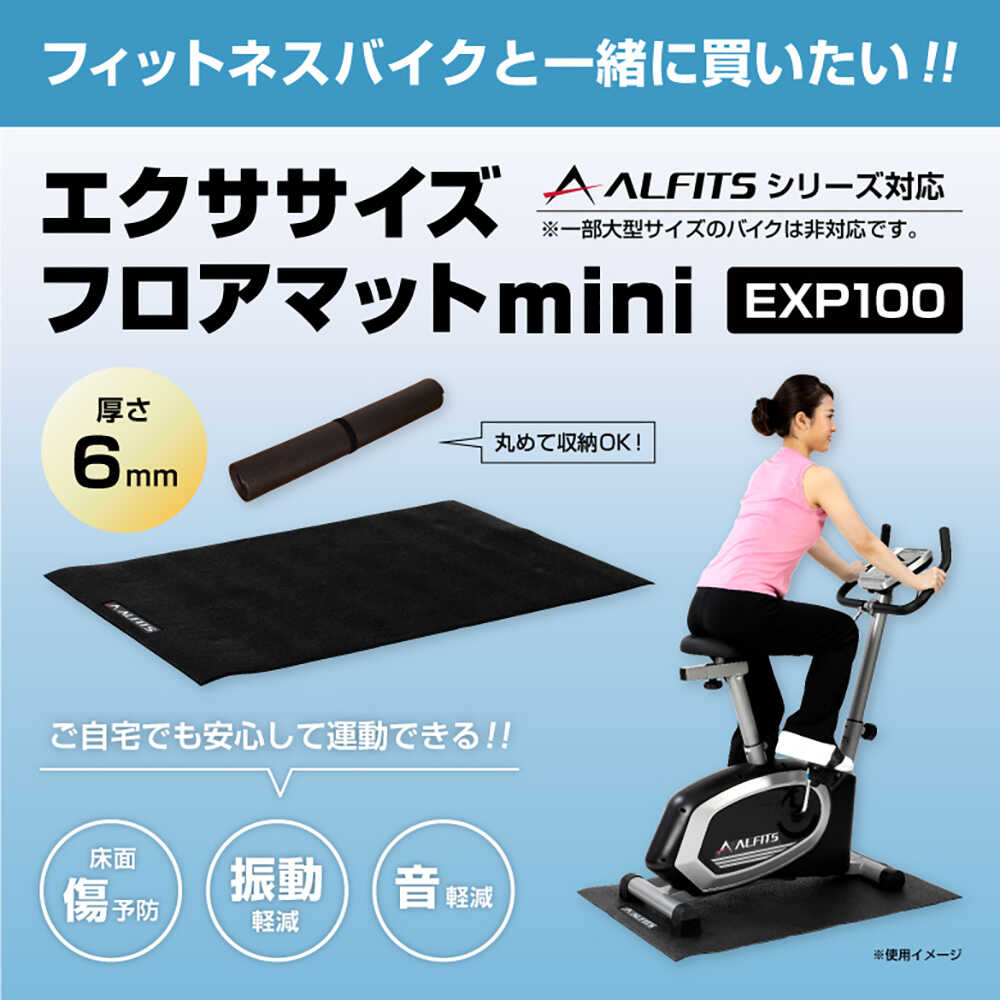 【ふるさと納税】エクササイズフロアマットmini/EXP100[AOAB138]