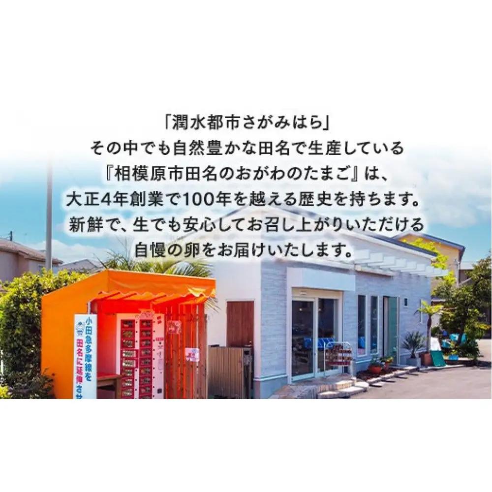 おがわのたまご Mサイズ 30個(27個＋割れ補償3個)×6か月｜たまご 【6ヶ月定期便】【毎月前半発送】