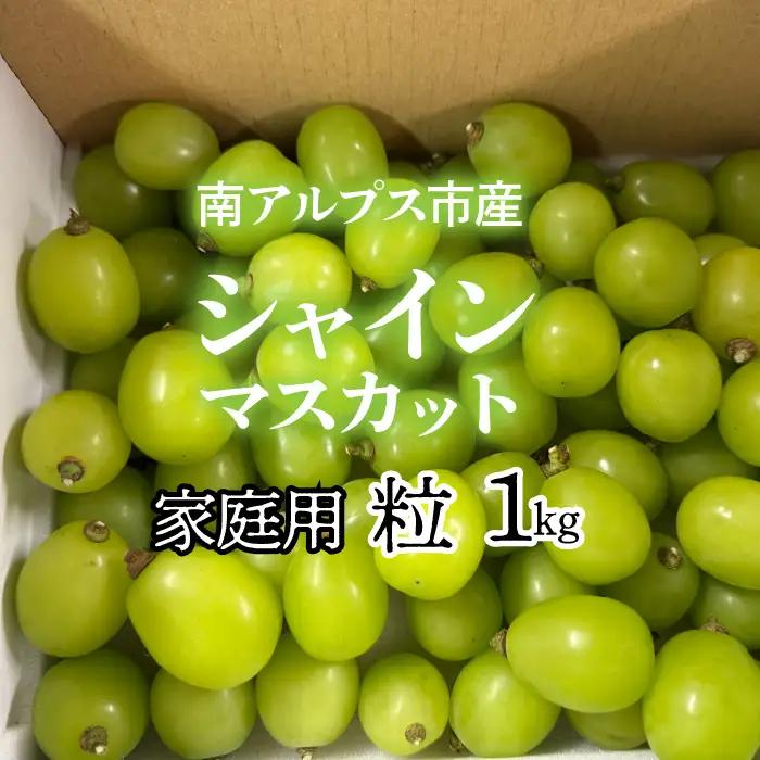 ＜2027年発送先行予約＞南アルプス市産シャインマスカット家庭用 粒1kg クール便発送 ALPAG012