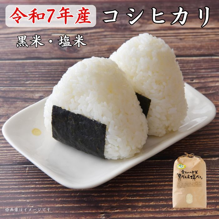 【ふるさと納税】《 令和7年産 》黒米・塩米（コシヒカリ）約5kg 約10kg ／ お米 米 精米 白米 コシヒカリ こしひかり 5kg 10kg 新米 令和7年産 千葉県