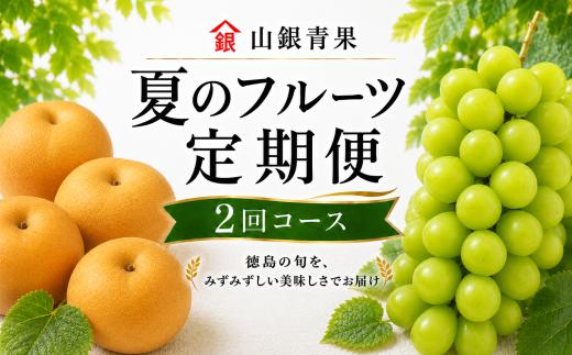 フルーツ 定期便 2回 フルーツ定期便 コースB 果物 シャインマスカット 梨 フルーツ ぶどう なし マスカット 季節 旬 詰め合せ 国産 おまかせ 産地直送 徳島県 徳島 山銀青果