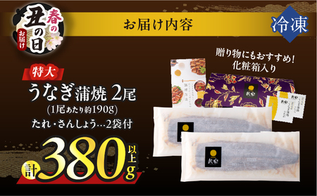 【春の丑の日までにお届け!!】うなぎ蒲焼特大2尾(さんしょう・たれ付き)計380g以上 鰻 魚 魚介 加工品 国産_T026-0061-US1