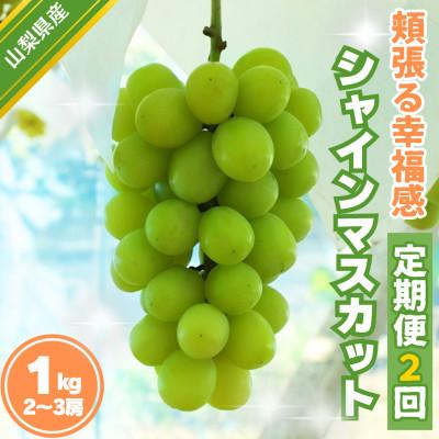 ふるさと納税 甲州市 【発送月固定定期便】頬張る幸福感 〜緑の宝石・シャインマスカット〜 1kg以上(2〜3房)全2回