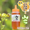 【ふるさと納税】はちみつ 国産 天然 純はちみつ やまみつ 500g ハチミツ 蜂蜜 とんがり容器　小郡市