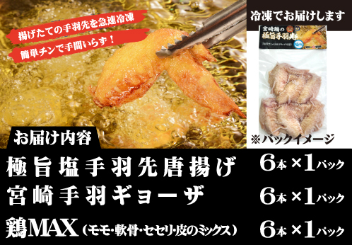 【2025年1月以降発送・レンジでチンするだけ♪】極旨塩手羽先唐揚げ 手羽ギョーザ 鶏MAX！セット（鶏肉手羽先 唐揚げ 餃子 もも肉 せせり 鶏皮 調理済み）