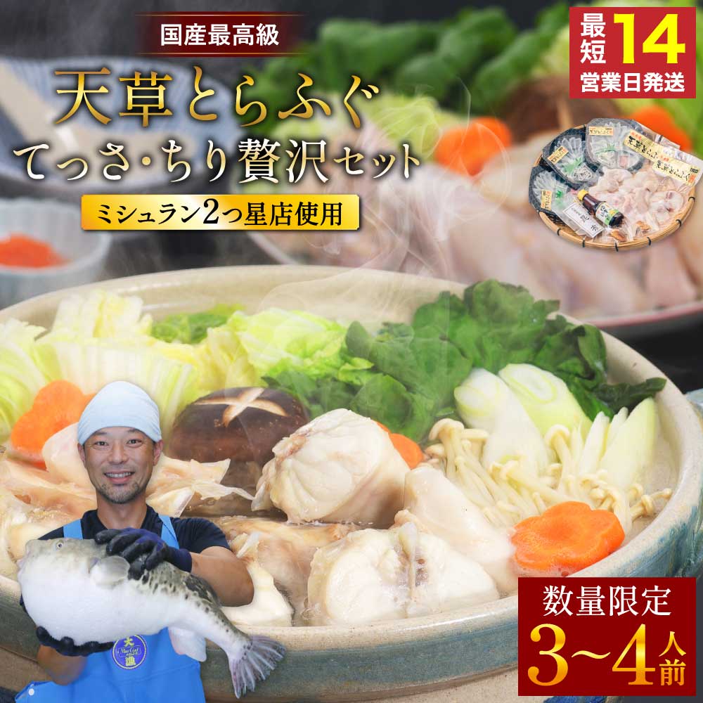 【ふるさと納税】 ふぐ 〈数量限定・緊急支援品〉ふぐの王様 とらふぐ 国産 最高級 天草とらふぐてっさ・ちり贅沢セット (3～4人前) フグ ふぐ 刺身 てっさ てっちり ひれ酒用 焼きひれ 冷凍 熊本県産