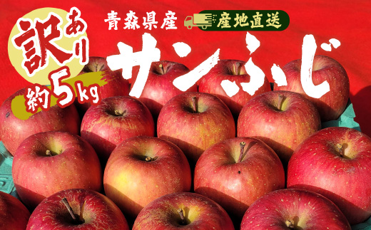 【訳あり】青森県産りんご「サンふじ家庭用」約5kg　産地直送!