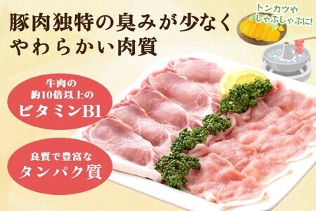 肥前さくらポーク詰合せBセット(ロースとんかつ用・ロースしゃぶしゃぶ用)【JA トンカツ しゃぶしゃぶ 美味しい やわらか ジューシー 安全 高品質 ビタミン タンパク質豊富 限定生産 冷凍】 A3-