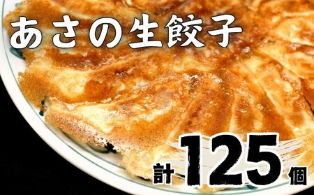 あさの生餃子 【25個入×5パック 計125個】セット 詰め合わせ 餃子のたれ 国産 ぎょうざ 餃子 餃子 餃子 餃子 餃子 餃子 餃子 餃子 餃子 【ASN0021】