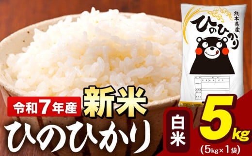 新米 令和7年産 白米 米 ひのひかり 5kg《10月中旬-12月末頃出荷》熊本県 大津町 国産 熊本県産 白米 精米 送料無料 ヒノヒカリ こめ お米