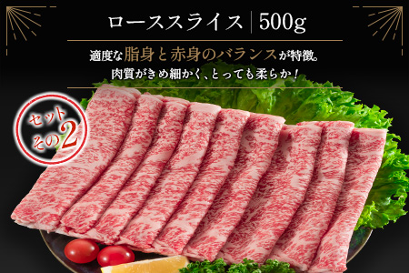 ≪肉質等級A4ランク≫宮崎牛 ロース食べ比べセット（合計1kg） ※90日程度でお届け【E161-24】