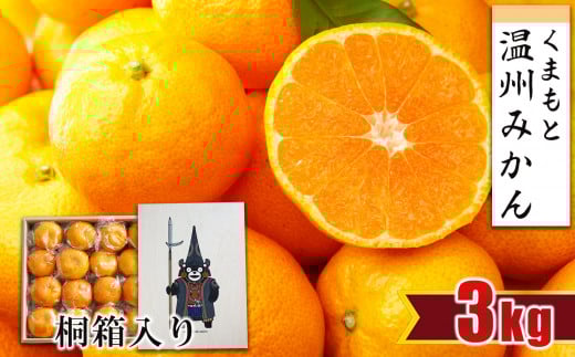 【 贈答用 ・ 桐箱 】 温州みかん 約3kg | フルーツ 果物 くだもの 柑橘 ミカン みかん 温州ミカン ギフト 熊本県 玉名市