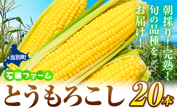 【1-35-218】【令和7年発送先行受付】石田ファーム とうもろこし詰め合わせ２０本セット