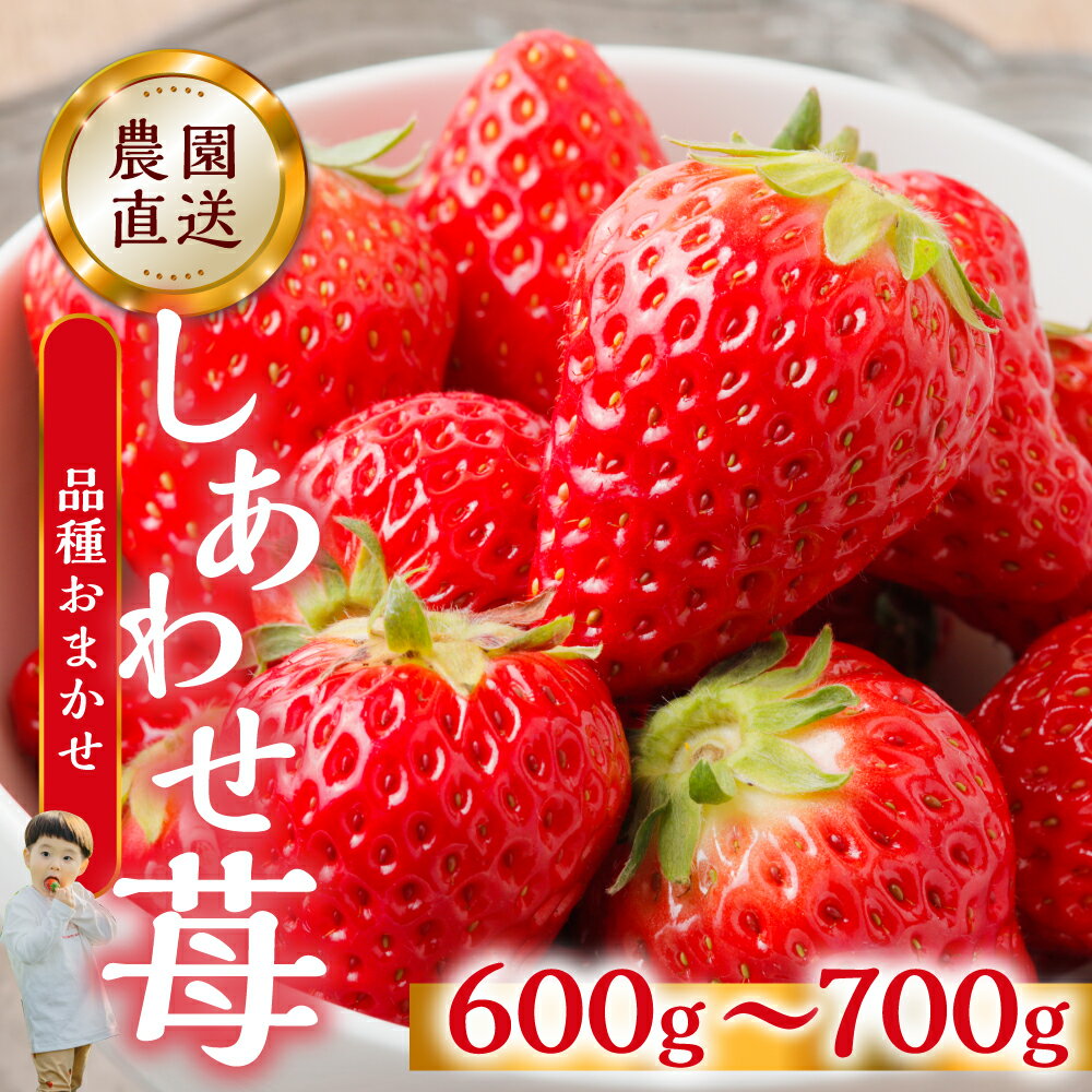 【ふるさと納税】【 令和7年産 】自宅用 いちご 紅ほっぺ 600-700g [しあわせ苺] サイズ バラバラ のため 訳あり 訳アリ 農園直送 [mt206]｜フルーツ 大粒 スイーツ 苺 イチゴ 大人 人気 簡易梱包 家庭用 産地直送 いちご 送料無料 岐阜県 本巣市 2026年 1月～順次発送