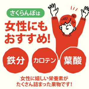 【2025年先行予約】山梨県北杜市産　旬の採れたてさくらんぼ　約1kg さくらんぼ 高砂 佐藤錦 紅秀峰 約1kg 2025年 先行予約 期間限定 数量限定 採れたて大粒 大玉 果物 くだもの 夏果実