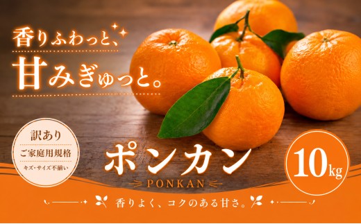 ＜訳あり 愛媛県産ポンカン 合計約10kg＞『2027年1月上旬～3月上旬迄に順次出荷予定』 ジューシー 甘い ご家庭用 果汁 果物 くだもの フルーツ みかん オレンジ 柑橘 人気柑橘 特産品 株式会社OSN 愛媛県 西予市 【常温】