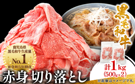 【鹿児島県産】黒毛和牛 赤身 切り落とし 1kg (500g×2)(枕崎市)  A8-111【配送不可地域：離島】【1616201】