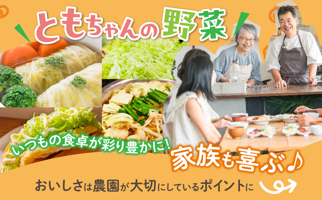 旬のキャベツ 6玉 7回お届け 定期便 ミネラルたっぷり 海風そだち 潮風 豊橋 国産 家族で 大容量 ともちゃんのやさい 大人気！ 愛知県 豊橋市 安心野菜 キャベツ 冬キャベツ 春キャベツ 初夏キ