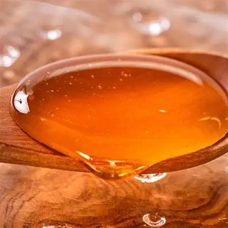 道の駅で大人気のハチミツ(250gノズル付きボトル　3本)【1657718】