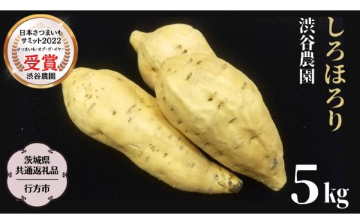 
                  《 2026年 収穫分 》 しろほろり約 5kg (茨城県共通返礼品 行方市) 先行予約 渋谷農園 国産 茨城県 桜川市 さつまいも サツマイモ いも 芋 新芋 焼き芋 やきいも 野菜 旬 人気 おやつ 自宅用 家庭用 [DT011sa]
                