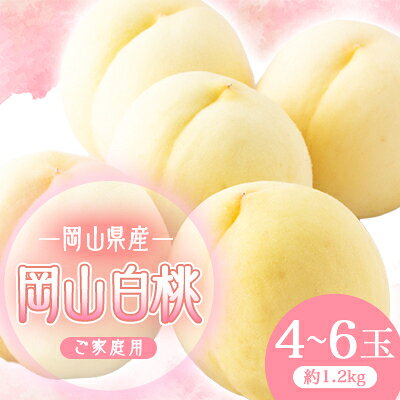 【ふるさと納税】2027年先行予約　岡山白桃(ご家庭用)1.2キロ(1箱4～6玉)_フルーツ 桃 美味しい 人気 ギフト お取り寄せ 岡山県産 西日本 グルメ 送料無料 岡山白桃 白桃 桃 フルーツ 美味しい 人気 ギフト お取り寄せ 岡山県 グルメ【配送不可地域：離島】【1598090】