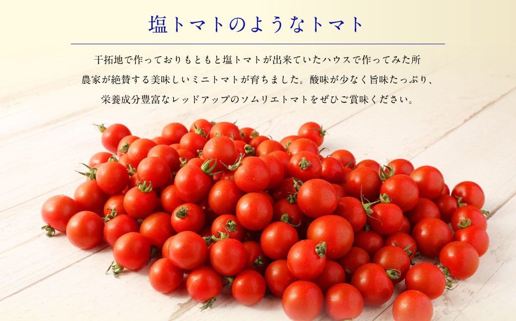 ソムリエミニトマトダイヤ 3kg