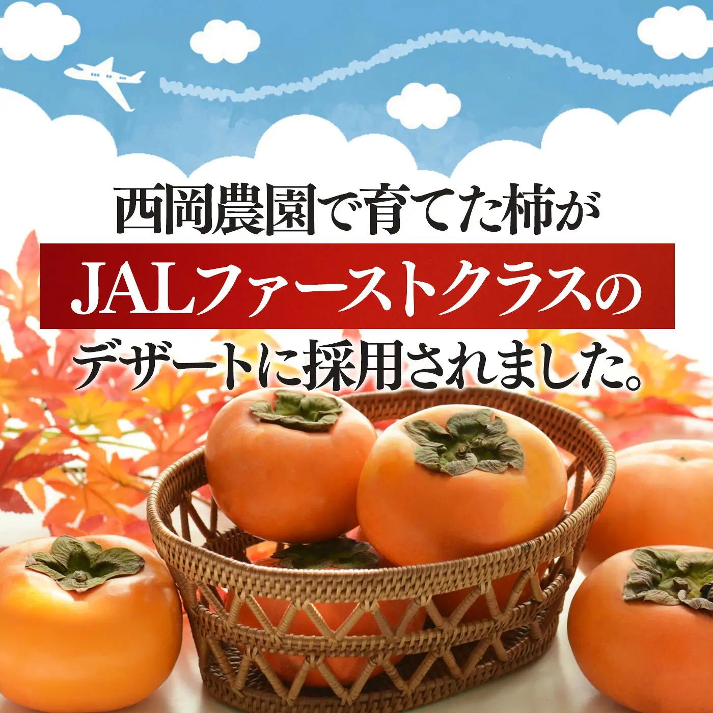 大人気！ リピーター多数！ たねなし柿 約 3.5kg 箱 （12～15個入） | 西岡農園
