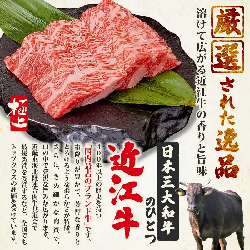 近江牛 サーロインステーキ 360g (180g×2枚) サーロイン