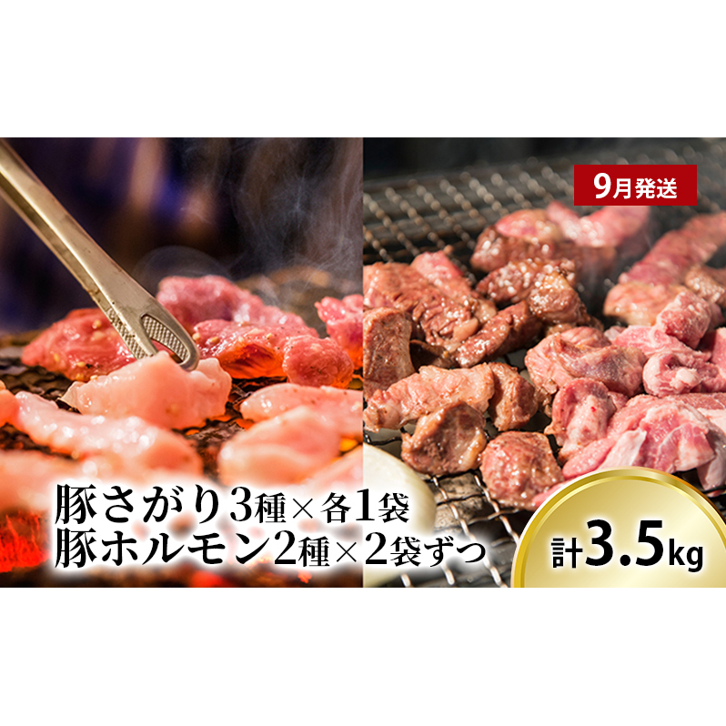 北海道上富良野 容量満足ボリューム定期便 メロン 豚 ホルモン サガリ 炭酸水 ビール_イメージ4