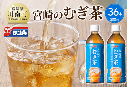 サンA宮崎のむぎ茶　500ml PET18本入り×2ケース【 お茶 麦茶 宮崎県産 ペットボトル 】
