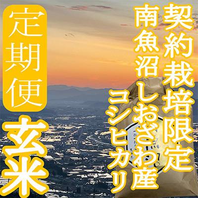 ふるさと納税 南魚沼市 【発送月固定定期便】※玄米4Kg※生産者限定　南魚沼しおざわ産コシヒカリ全9回 |  | 02