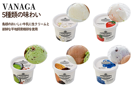 5種類のアイスクリーム12個入り［木次乳業／VANAGA］バニラアイスクリーム ストロベリーアイスクリーム 抹茶あずきアイスクリーム ビターチョコアイスクリーム ブルーベリーアイスクリーム